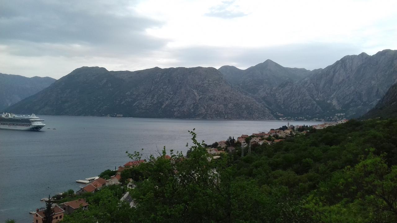 Apartment Biser Kotor Exterior photo